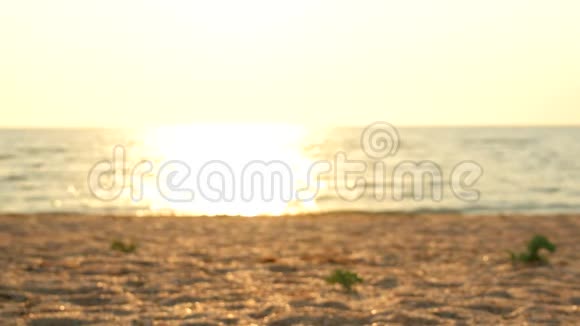 黎明时分人们在沙滩上慢跑视频的预览图