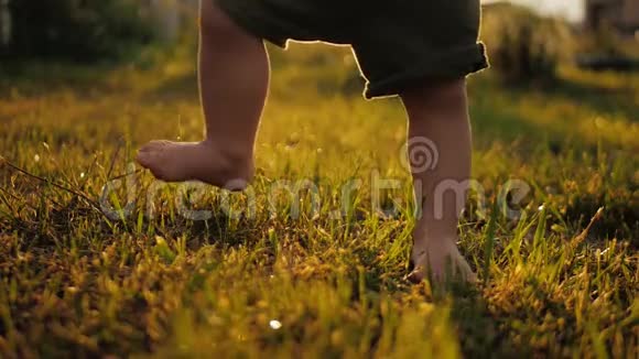 小宝宝学会走路动作缓慢孩子们在日落时在绿草上做第一步快关门视频的预览图