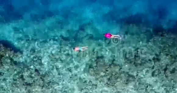 V06426飞机飞行无人机观马尔代夫白色沙滩年轻人在阳光明媚的水下浮潜视频的预览图