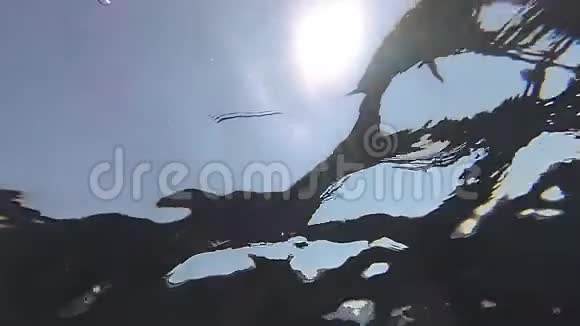 水下慢镜头太阳带小波浪视频的预览图