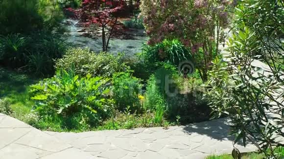 景观设计理念夏天阳光明媚的日子里有树和五颜六色的植物的郁郁葱葱的花园视频的预览图