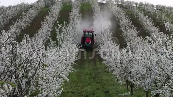 拖拉机在樱桃园喷洒杀虫剂视频的预览图