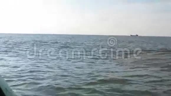 在黑海跳跃和游泳的海豚视频的预览图