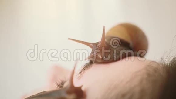脸上的大蜗牛在水疗中心的年轻女子接受了一个与蜗牛Achatina的面部按摩蜗牛吃掉死皮视频的预览图