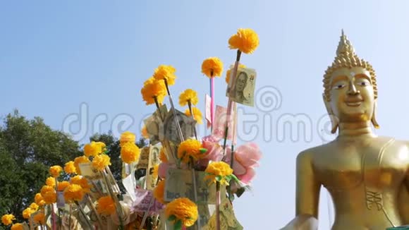 泰国纸币上一枝万寿菊背景上的大金佛芭堤雅泰国视频的预览图