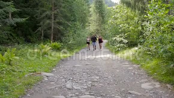 徒步旅行者沿着森林道路行走视频的预览图