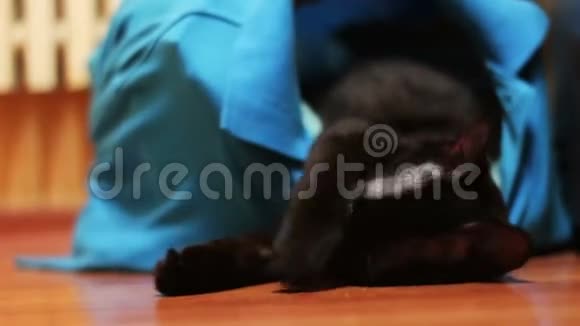 黑猫舔嬉戏视频的预览图
