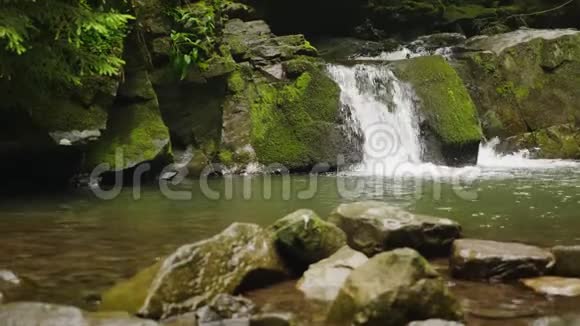 有小瀑布的山河或溪流前景中的石头视频的预览图