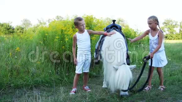 孩子们一个七岁的男孩和一个女孩抚摸着一匹白色的小马开朗家庭假期愉快户外在视频的预览图