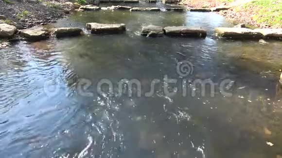 老林中的小河在秋天的白天视频的预览图