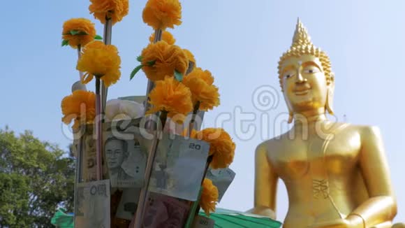 泰国纸币上一枝万寿菊背景上的大金佛芭堤雅泰国视频的预览图