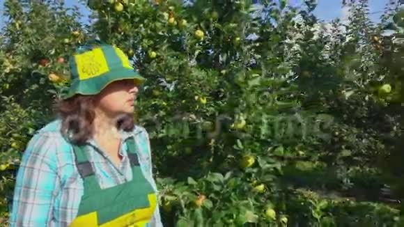 农夫沿着一排苹果树走视频的预览图