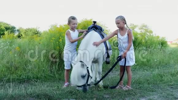 孩子们一个七岁的男孩和一个女孩抚摸着一匹白色的小马开朗家庭假期愉快户外在视频的预览图