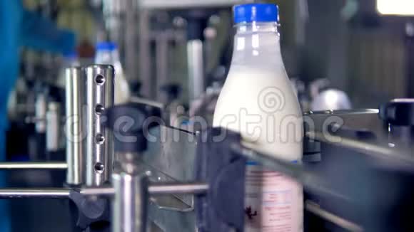 灌装和标签的奶瓶在运输线上移动视频的预览图