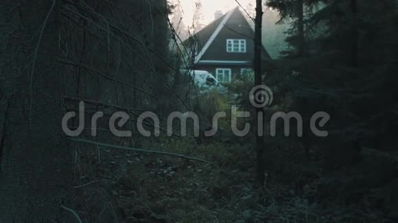 森林深处的小木屋冷色调视频的预览图