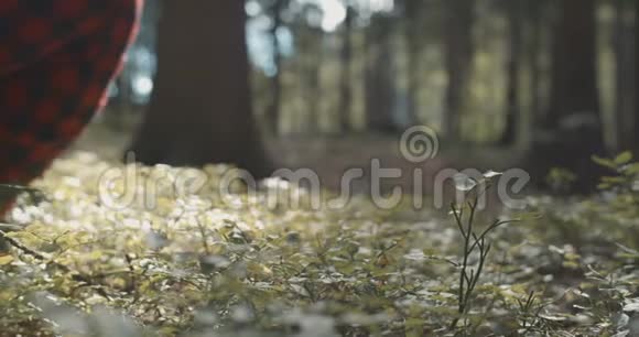男人穿着格子衬衫闭着眼睛在森林里休息视频的预览图