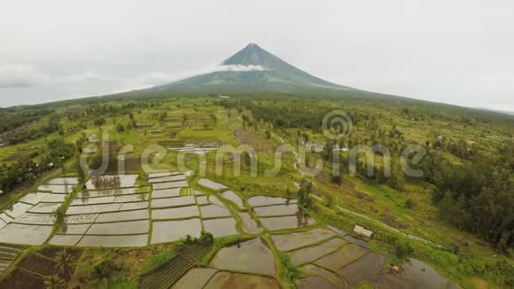 马永火山靠近菲律宾的勒加兹皮市从空中俯瞰稻田玛雅火山是一座活火山视频的预览图
