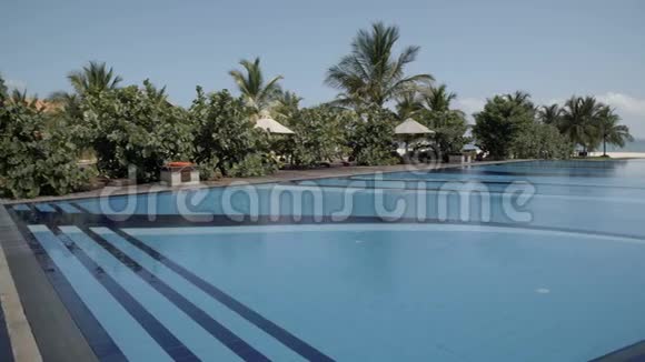 一个有棕榈树的大型游泳池视频的预览图