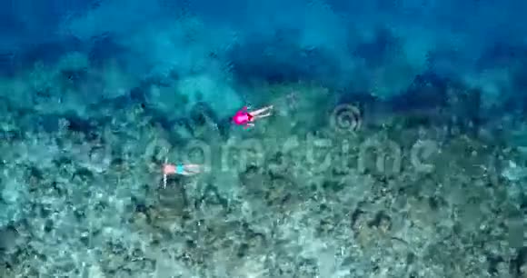 v06425飞机飞行无人机马尔代夫白色沙滩年轻人浮潜在阳光明媚的水下游泳视频的预览图