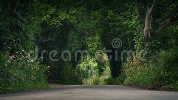 穿过夏乡村的道路地面景观视频的预览图