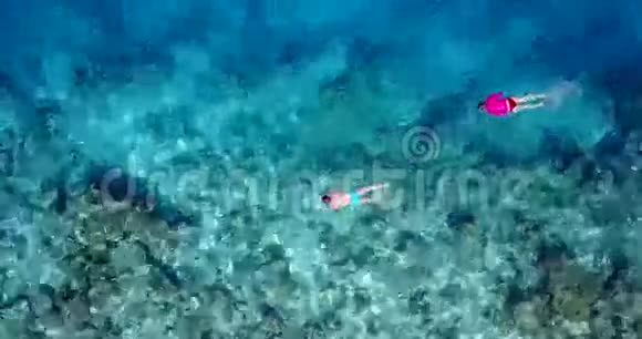 v06427飞机飞行无人机马尔代夫白色沙滩年轻人浮潜在阳光明媚的水下游泳视频的预览图