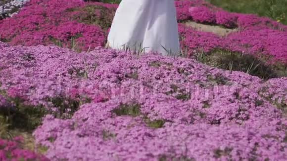 穿着白色长裙的女人走在粉红色的花朵中间视频的预览图