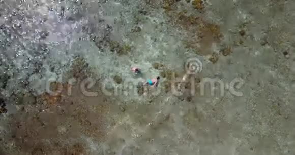 V06469飞机飞行无人机观马尔代夫白色沙滩年轻人在阳光明媚的水下浮潜视频的预览图