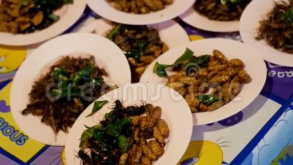 不同类型的熟食市场的熟食昆虫亚洲泰国芭堤雅视频的预览图