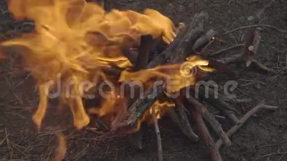 晚上在森林里缓慢地燃烧着篝火近景视频的预览图
