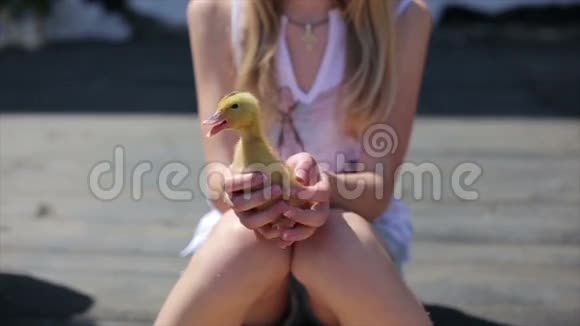 小鸭子在女性青少年手特写镜头视频的预览图