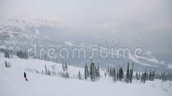 空中冬季森林冬天在山上滑雪视频的预览图