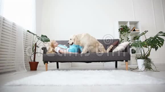 照顾宠物一个金发女孩在客厅里用爱抚摸她的狗家庭中快乐的金毛猎犬视频的预览图
