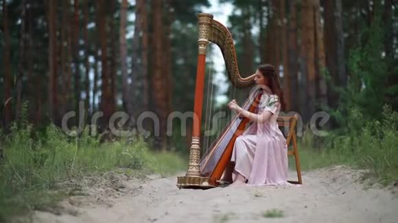 女竖琴演奏者坐在森林里在松树的背景下演奏竖琴视频的预览图