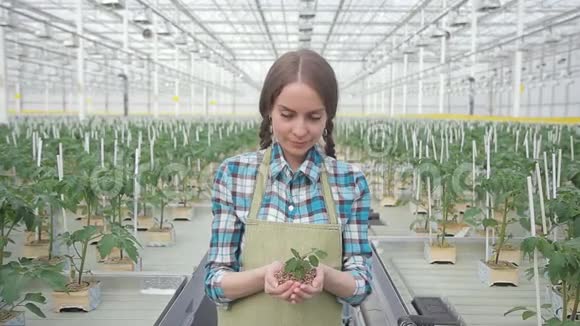 年轻女子手持绿色植物站在温室里进行水培视频的预览图