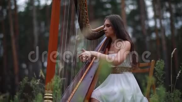 女竖琴演奏者坐在森林里在松树的背景下演奏竖琴视频的预览图
