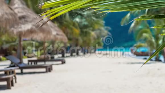热带棕榈树在沙滩上轻微的微风中移动阳光充足长尾船在模糊的背景下观光视频的预览图