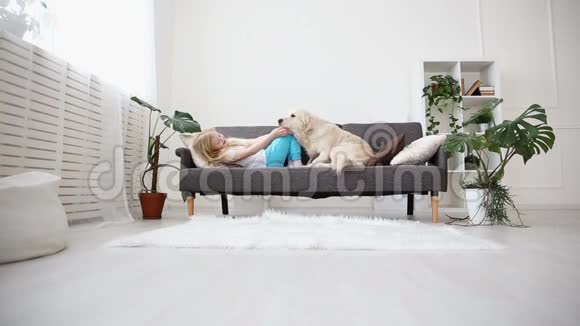 照顾宠物一个金发女孩在客厅里用爱抚摸她的狗家庭中快乐的金毛猎犬视频的预览图