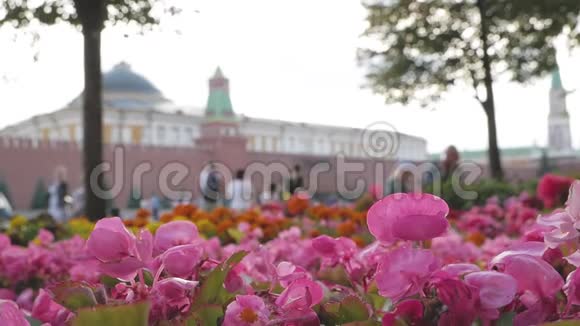 克里姆林宫背后五颜六色的夏花视频的预览图