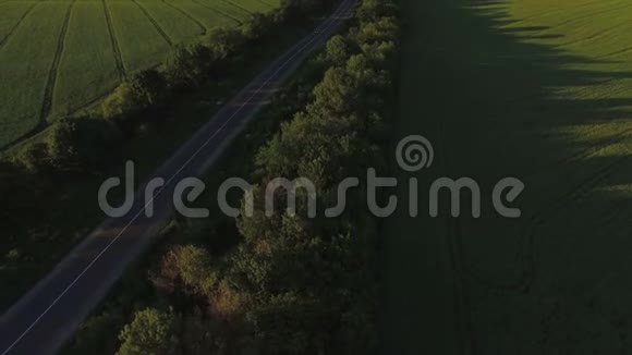 在植物和绿地之间的道路上的鸟瞰图视频的预览图