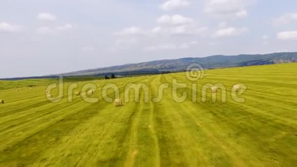 干草在背景山的绿色田野上空中景观视频的预览图