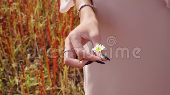 女性的手用一朵花捻着手指视频的预览图