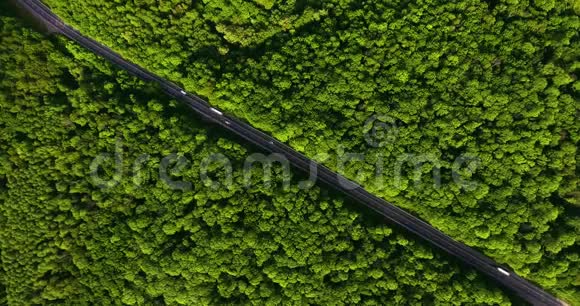 空中景色随着汽车的移动飞越公路那穿过车道的绿色森林汽车沿林路行驶汽车轮胎视频的预览图