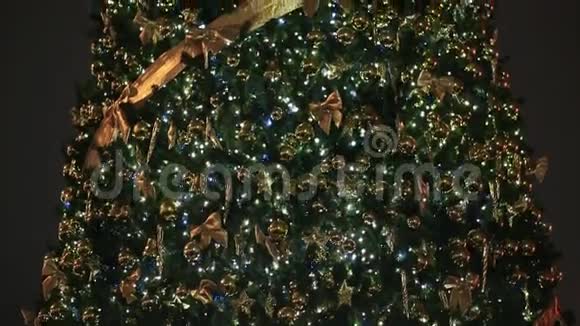 一棵宏伟的圣诞树夜晚在莫斯科的城市广场上闪烁灯光和圣诞装饰关闭视频的预览图