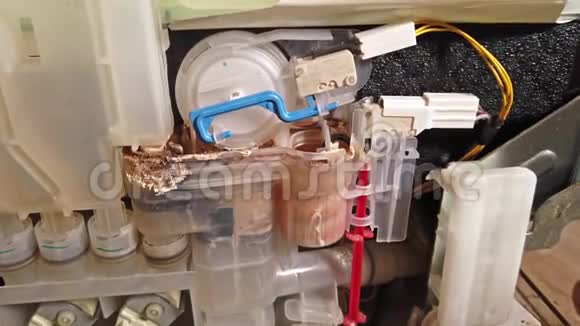 一台煅烧洗菜机的内部景观视频的预览图