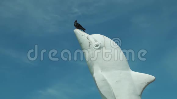 伊兹密尔卡西亚卡的海豚雕像和鸽子视频的预览图