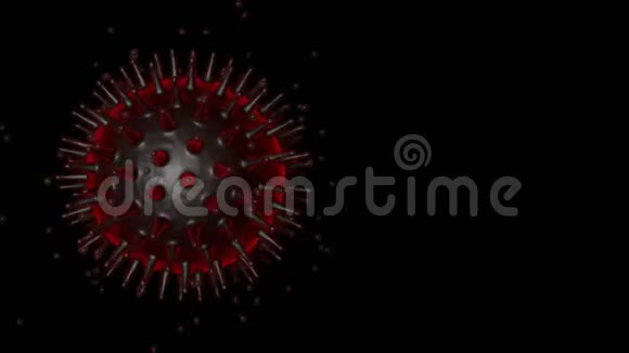 COVID19病毒感染视频的预览图