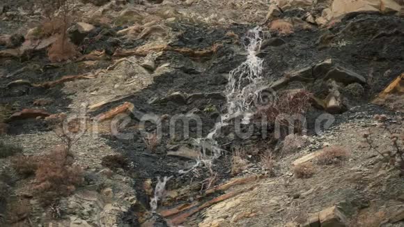 一股山泉从岩石中缓慢流动视频的预览图