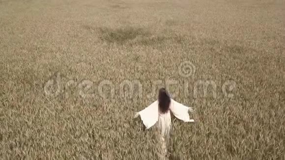 后观年轻女子走过麦田触摸一颗麦子耀光夕阳盛夏时节医生视频的预览图