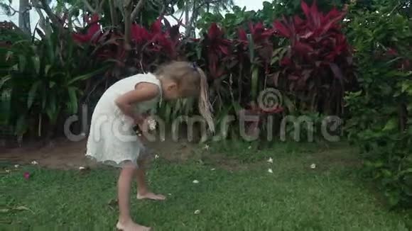 小女孩收集热带花园里的梅花的录像视频的预览图