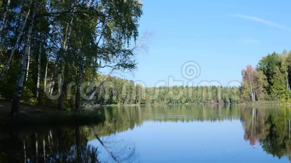 森林里湖边的夏日视频的预览图